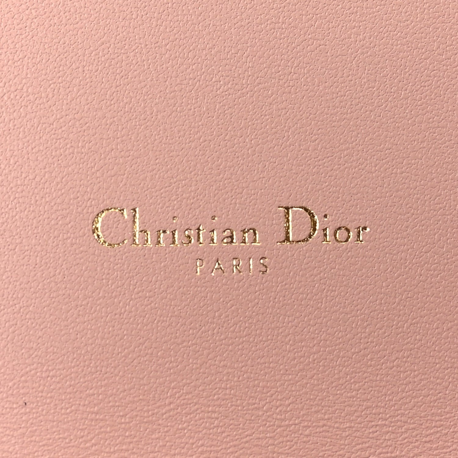 Christian Dior Supple Calfskin Caro Pouch with Chain Rose Des Vents 5 of 8