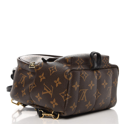 Louis Vuitton Monogram Palm Springs Backpack Mini 4 of 6