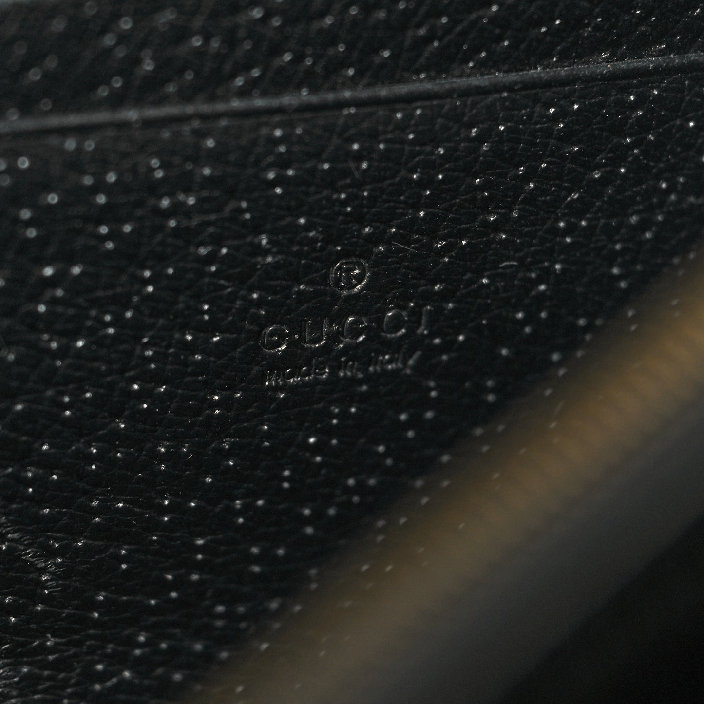 Calfskin Web Mini Dionysus Chain Wallet Black