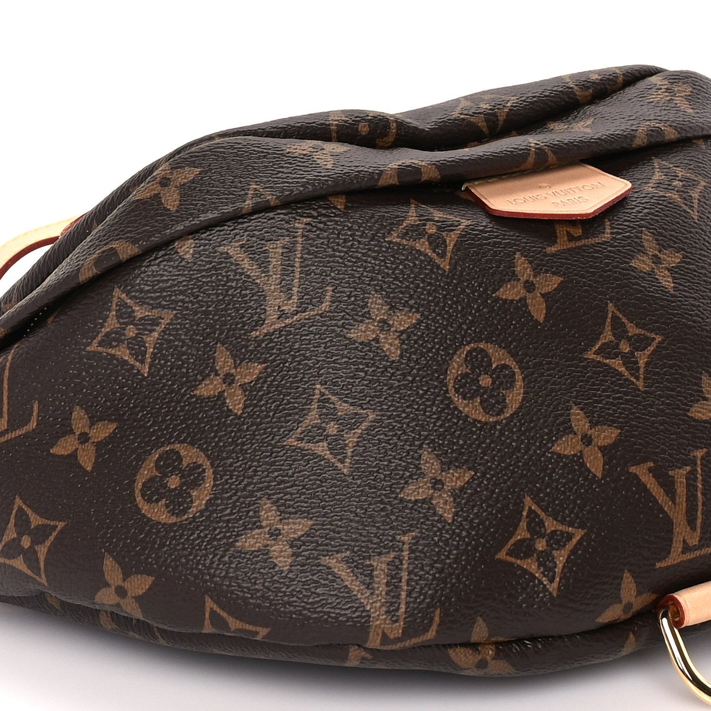 Monogram Bumbag Brown