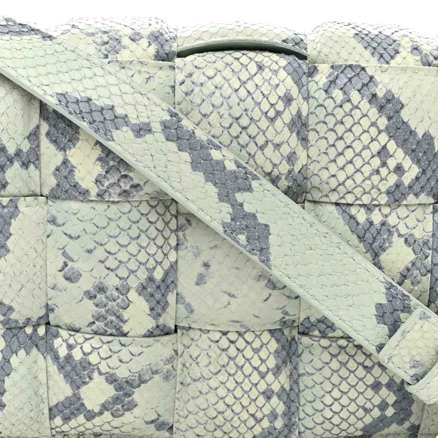 Goatskin Python Embossed Padded Cassette Crossbody Bag Dew Black Silver