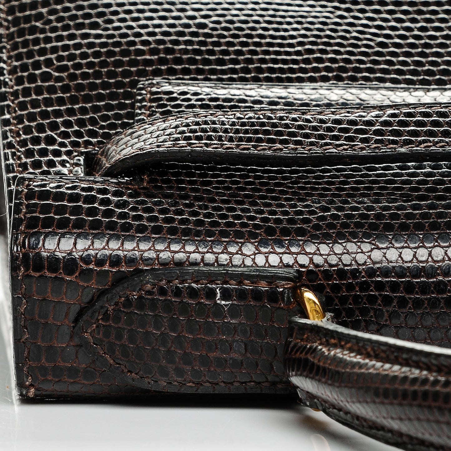 Shiny Lizard Kelly 28 Havane