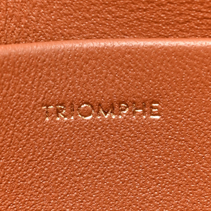 Celine Natural Calfskin Triomphe Shoulder Bag Tan 8 of 13