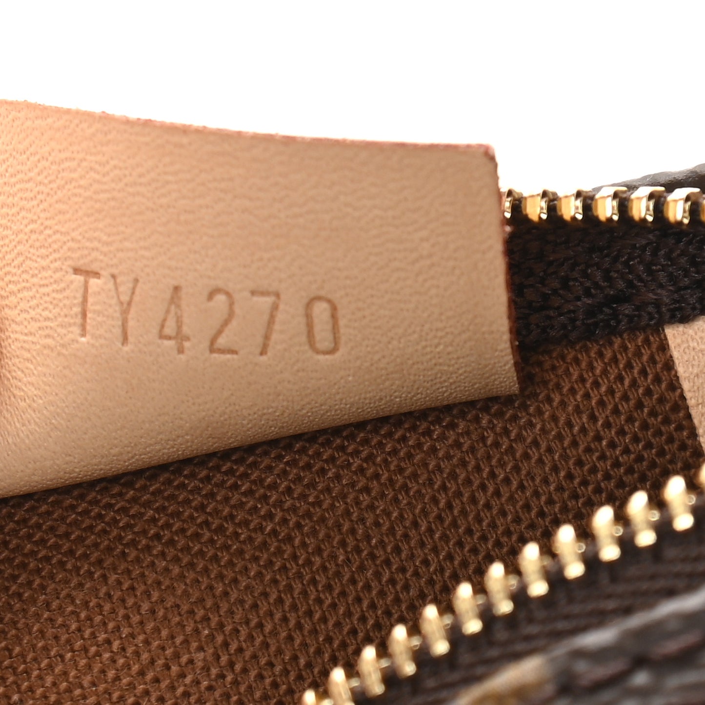 Monogram Nano Speedy