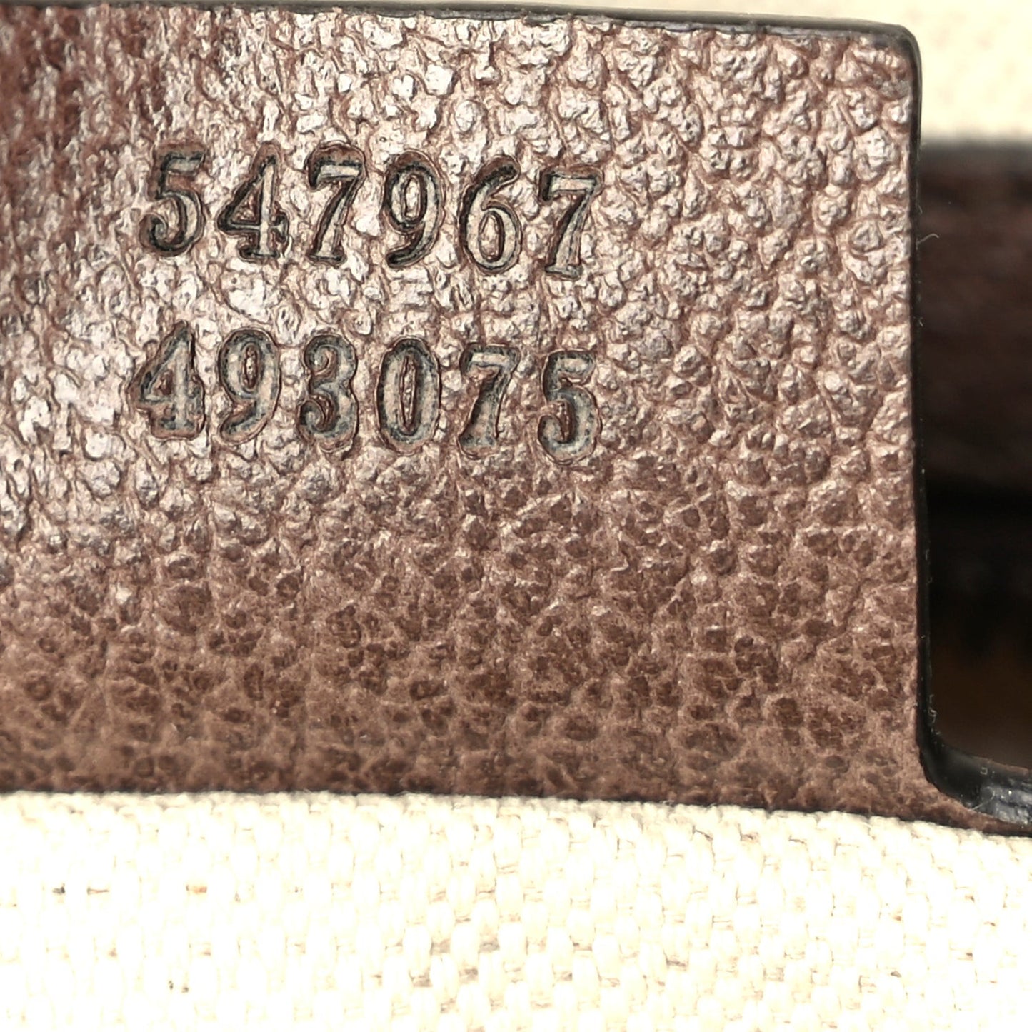 GG Supreme Monogram Medium Ophidia Day Backpack Brown