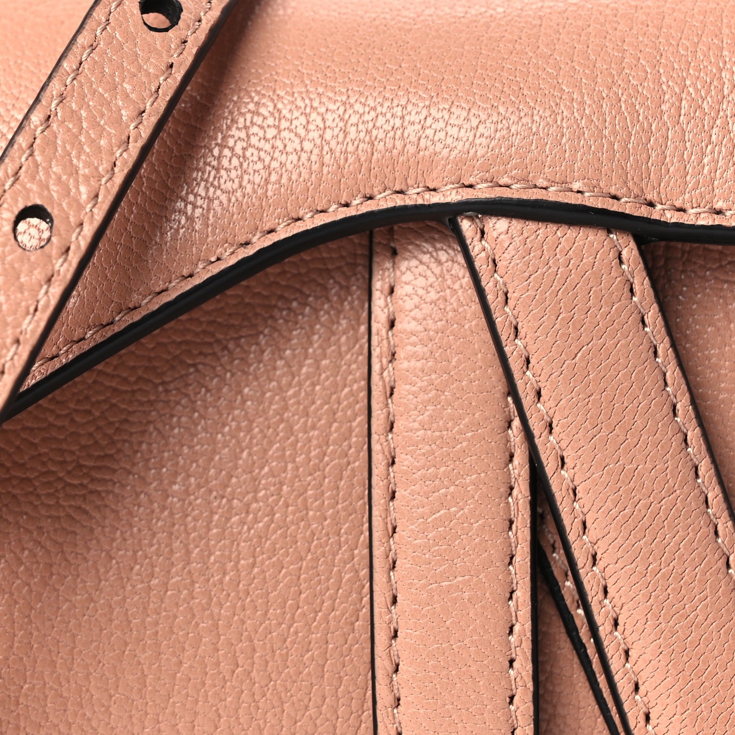 Christian Dior Goatskin Micro Saddle Bag With Strap Rose Des Vents 6 of 8