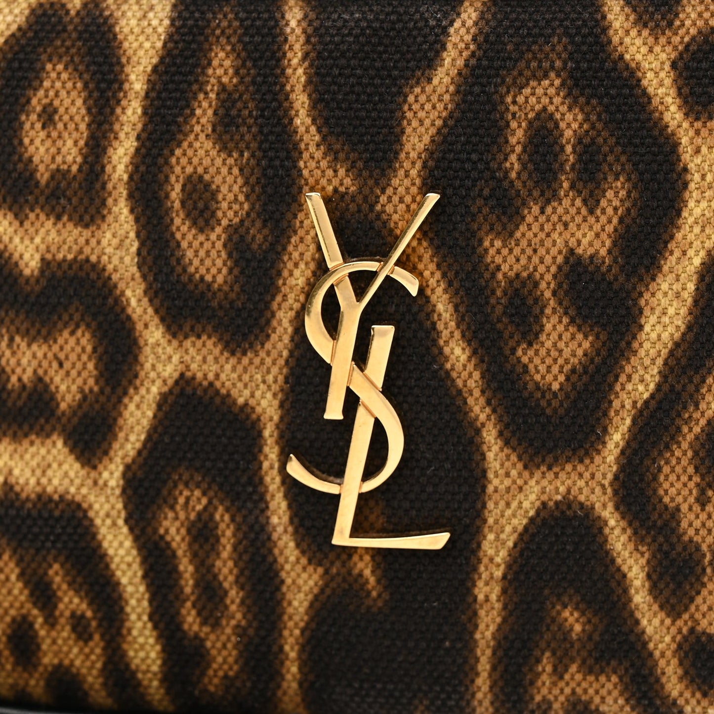 Canvas Calfskin Leopard Print Monogram Mini Lou Camera Bag Brown