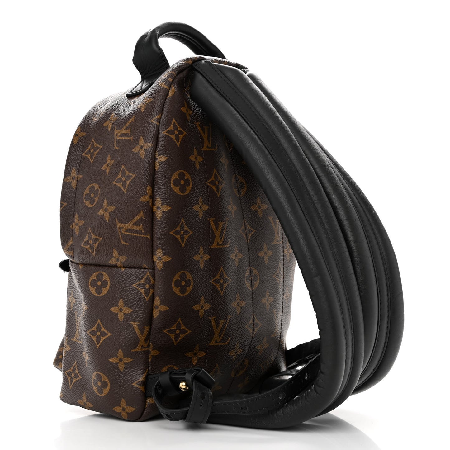 Monogram Palm Springs Backpack PM