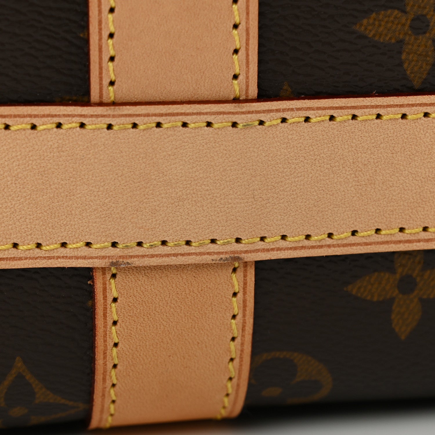 Louis Vuitton Monogram Dog Carrier 45 11 of 13