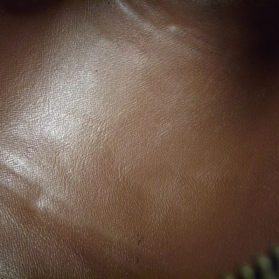 Monogram Papillon 30