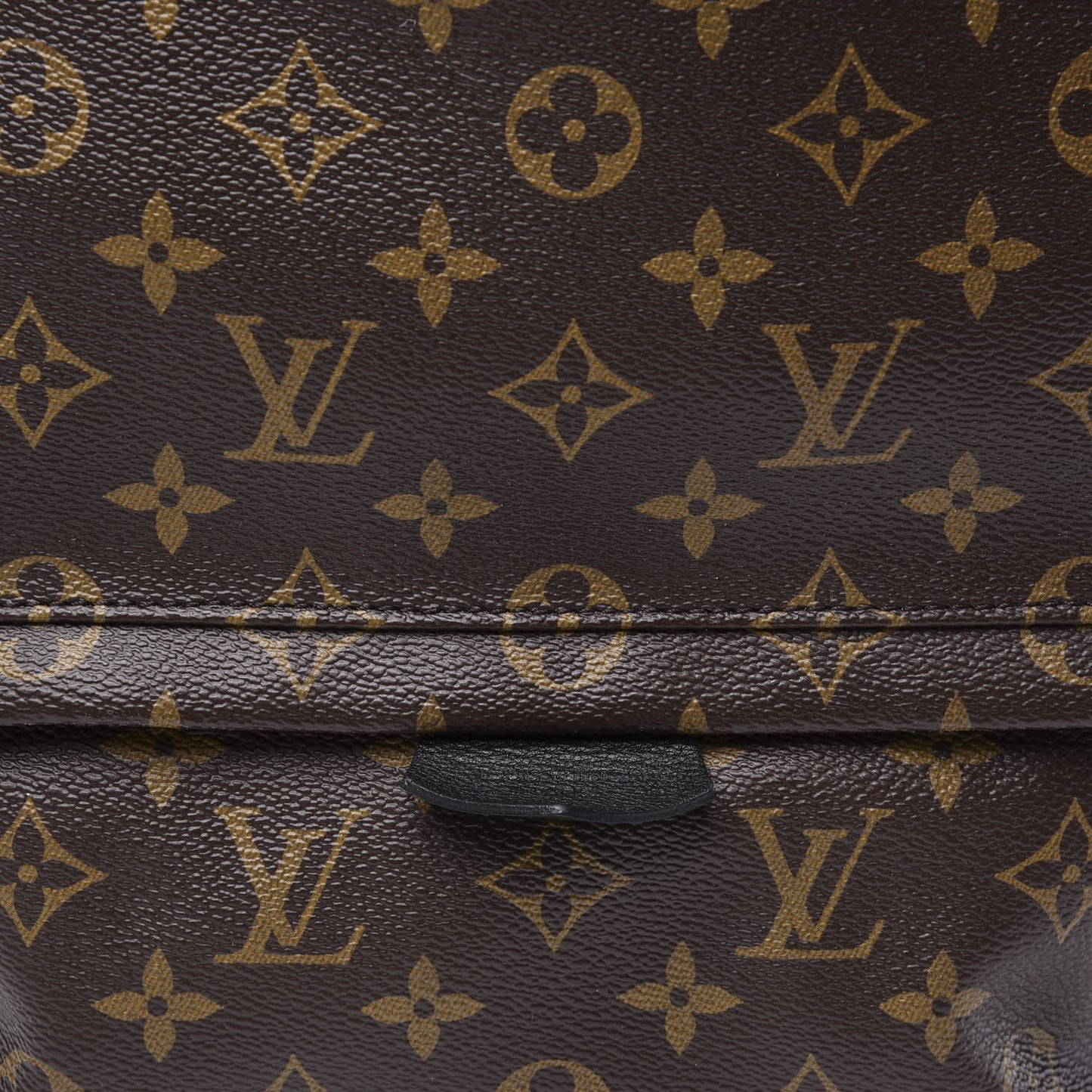 Monogram Palm Springs Backpack MM