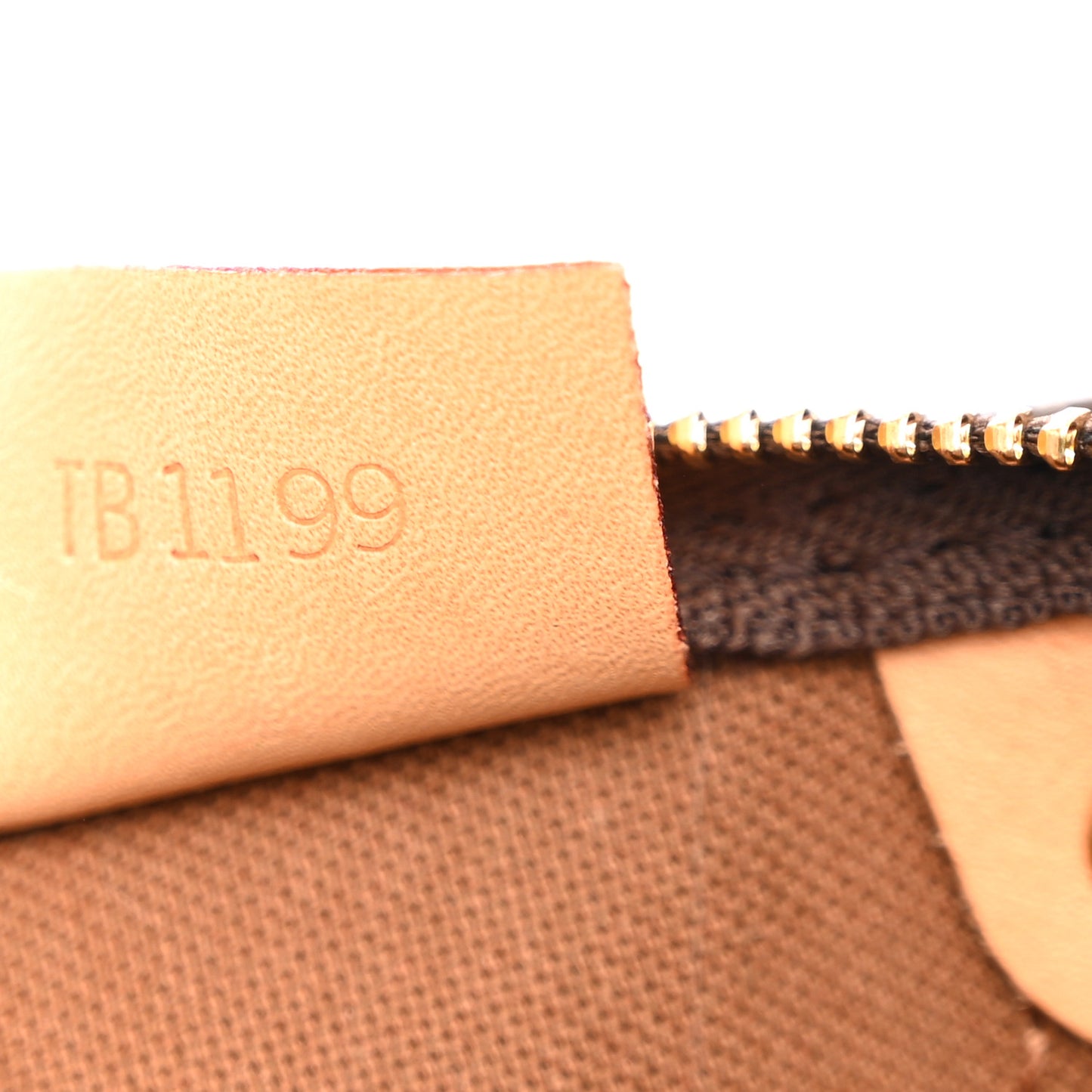 Monogram Nano Speedy