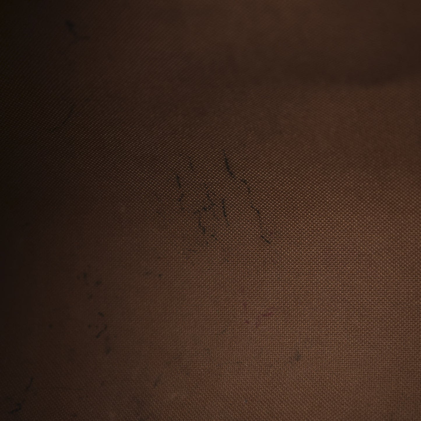 Monogram Speedy Bandouliere 35