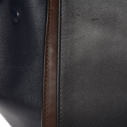 Celine Smooth Calfskin Medium Tri-Color Trapeze 9 of 17