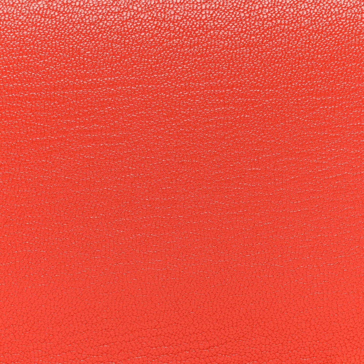 Chevre Mysore Geta Capucine