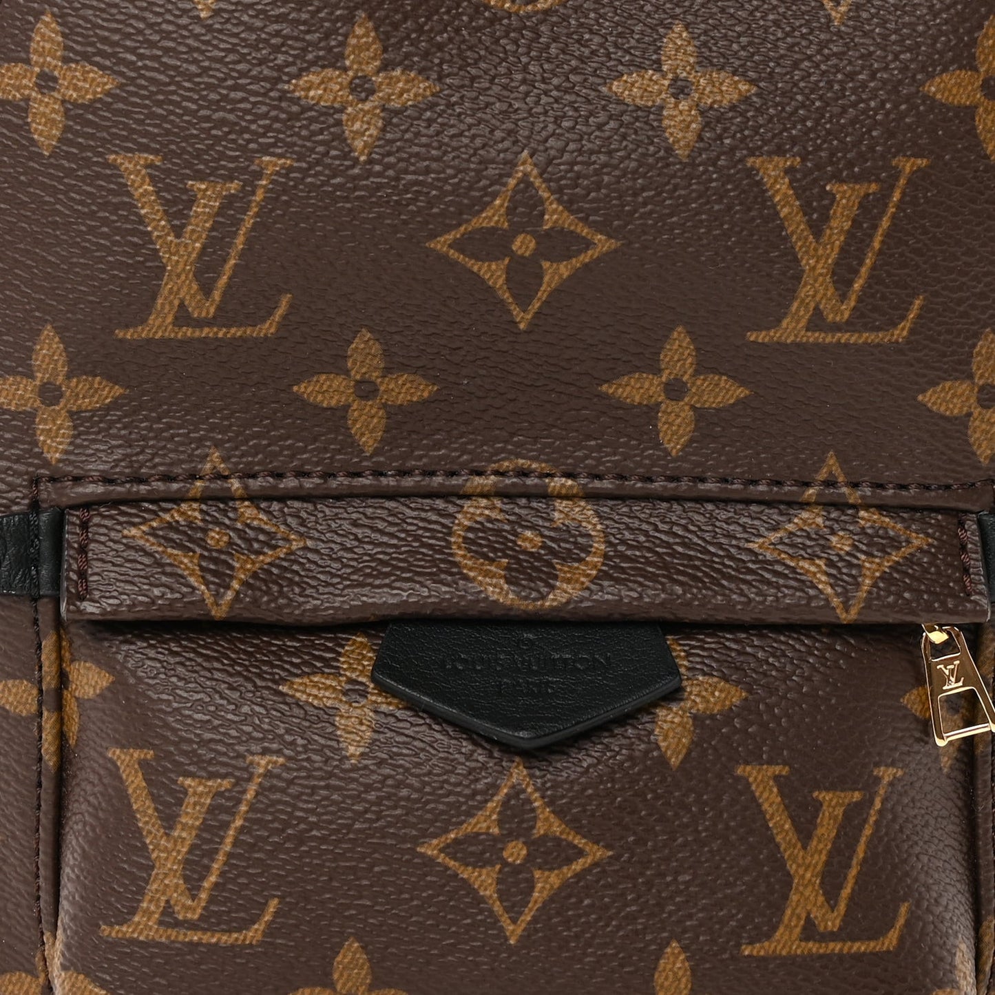 Monogram Palm Springs Backpack Mini Black