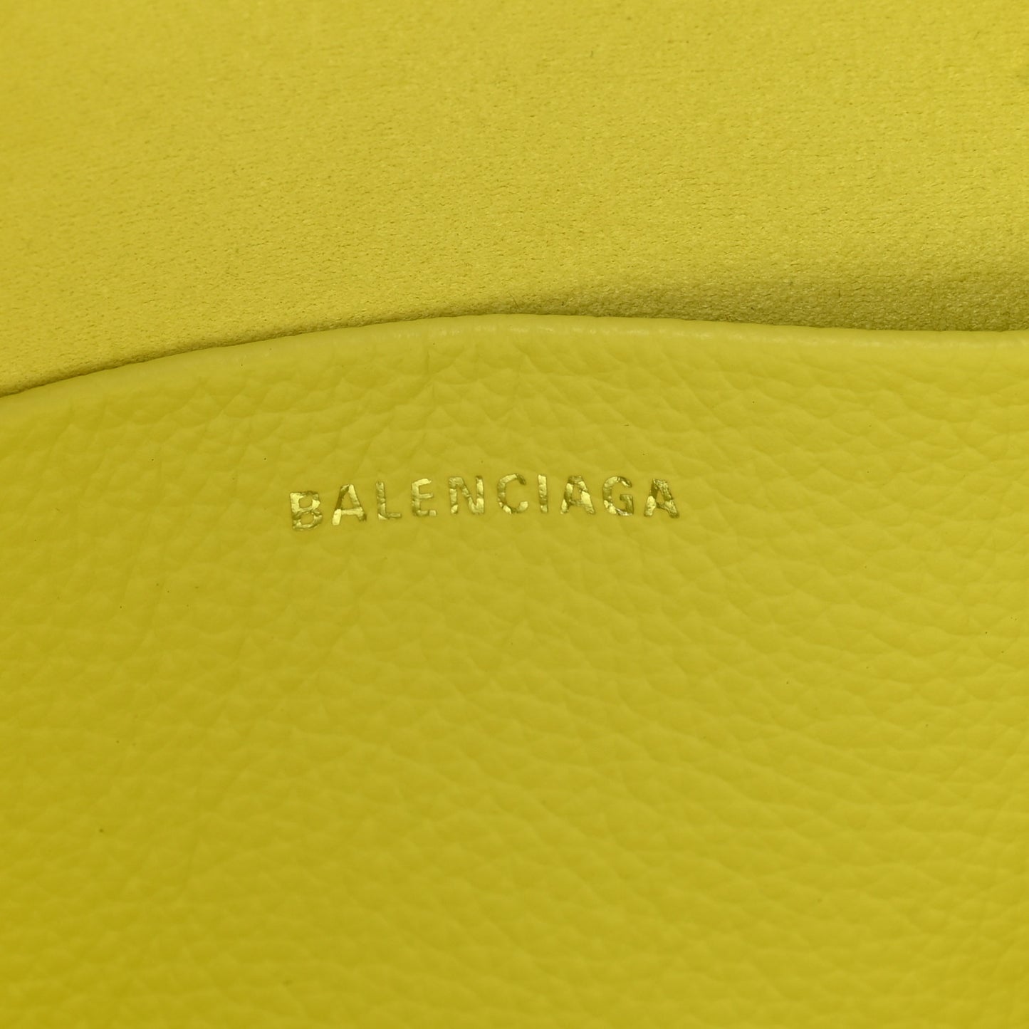 Calfskin Logo M Everyday Camera Bag Lime