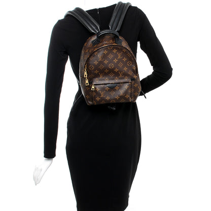 Louis Vuitton Monogram Palm Springs Backpack PM 2 of 6