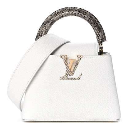 Louis Vuitton Taurillon Ayers Capucines Mini White Snow White 1 of 10